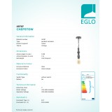 EGLO 49707 | Chepstow Eglo függeszték lámpa 1x E27 antikolt ezüst