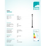 EGLO 93464 | Navedo Eglo álló lámpa 200cm 1x E27 IP44 fekete, antikolt ezüst, áttetsző