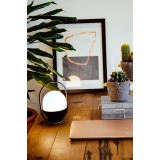 FARO 01016 | Take-FA Faro asztali lámpa 20cm 1x LED 100lm 2700K matt fekete, fehér