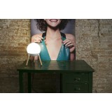 FARO 28378 | Mine Faro asztali lámpa 30cm 1x E27 matt fehér, opál