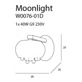 MAXLIGHT W0076-01D | MoonlightM Maxlight fali lámpa 1x G9 króm, átlátszó