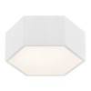 ARGON 3828 | Arizona-AR Argon mennyezeti lámpa 1x LED 1150lm 3000K fehér, opál
