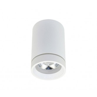AZZARDO 3375 | Bill-AZ Azzardo mennyezeti lámpa henger 1x LED 850lm 4000K fehér, világosszürke