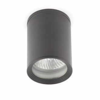 FARO 70806 | Tasa Faro mennyezeti lámpa 1x E27 IP44 sötétszürke, áttetsző